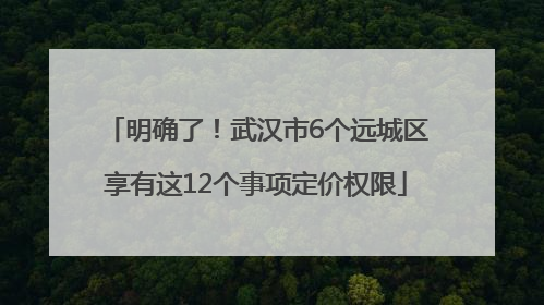 明确了！武汉市6个远城区享有这12个事项定价权限