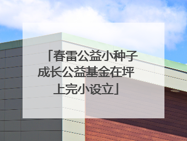 春雷公益小种子成长公益基金在坪上完小设立
