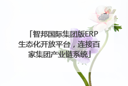 智邦国际集团版ERP生态化开放平台,连接百家集团产业链系统