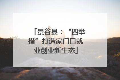 景谷县：“四举措”打造家门口就业创业新生态