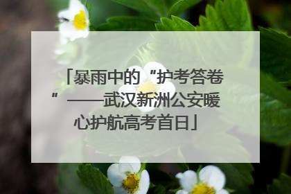 暴雨中的“护考答卷”——武汉新洲公安暖心护航高考首日