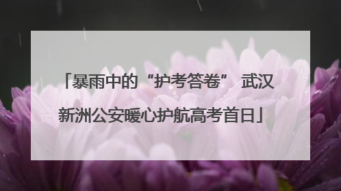暴雨中的“护考答卷” 武汉新洲公安暖心护航高考首日