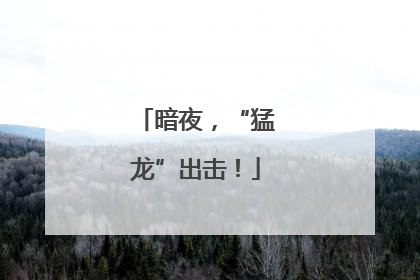 暗夜，“猛龙”出击！