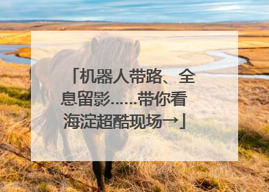 机器人带路、全息留影……带你看海淀超酷现场→