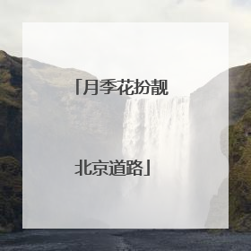 月季花扮靓北京道路