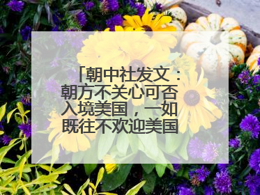 朝中社发文：朝方不关心可否入境美国，一如既往不欢迎美国人入境朝鲜