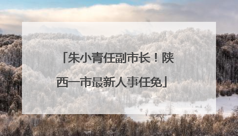朱小青任副市长！陕西一市最新人事任免