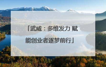 武威：多维发力 赋能创业者逐梦前行