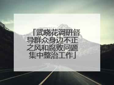 武晓花调研督导群众身边不正之风和腐败问题集中整治工作