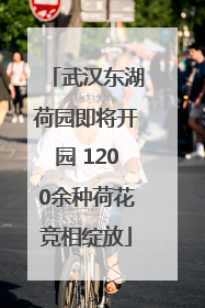 武汉东湖荷园即将开园 1200余种荷花竞相绽放