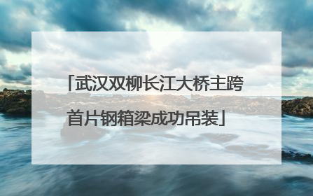 武汉双柳长江大桥主跨首片钢箱梁成功吊装