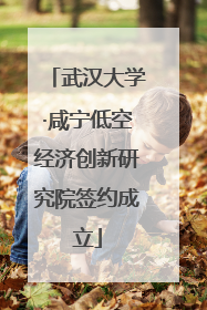 武汉大学·咸宁低空经济创新研究院签约成立