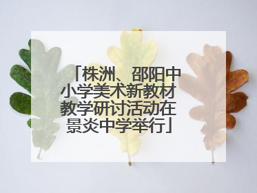 株洲、邵阳中小学美术新教材教学研讨活动在景炎中学举行
