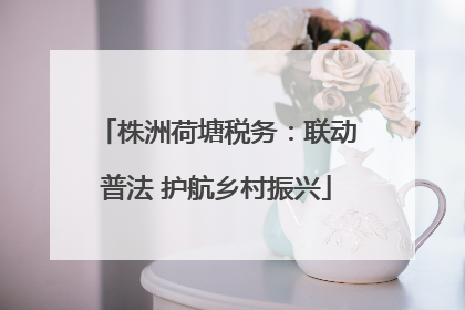 株洲荷塘税务：联动普法 护航乡村振兴