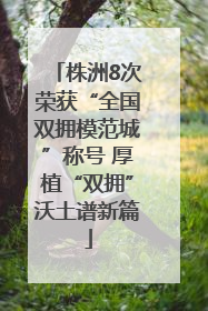 株洲8次荣获“全国双拥模范城”称号 厚植“双拥”沃土谱新篇