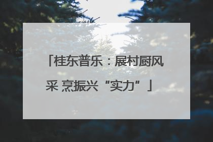 桂东普乐：展村厨风采 烹振兴“实力”