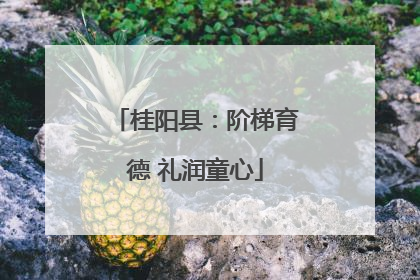 桂阳县：阶梯育德 礼润童心