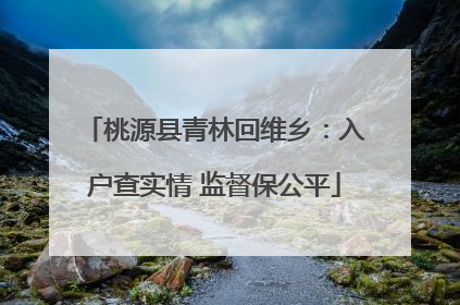 桃源县青林回维乡：入户查实情 监督保公平