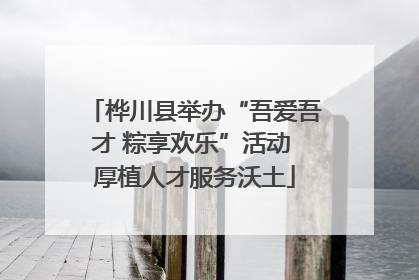 桦川县举办“吾爱吾才 粽享欢乐”活动 厚植人才服务沃土
