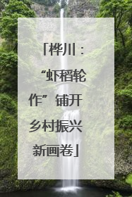 桦川：“虾稻轮作”铺开乡村振兴新画卷