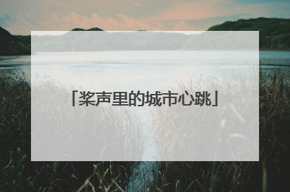 桨声里的城市心跳