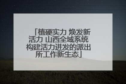 植硬实力 焕发新活力 山西全域系统构建活力迸发的派出所工作新生态
