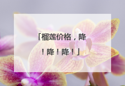 榴莲价格，降！降！降！