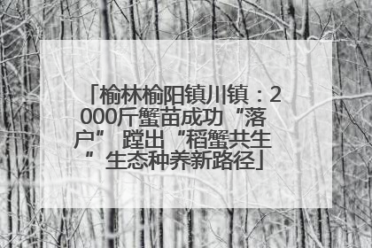 榆林榆阳镇川镇：2000斤蟹苗成功“落户” 蹚出“稻蟹共生”生态种养新路径