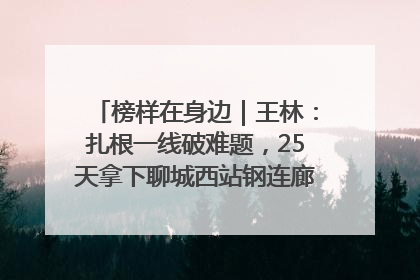 榜样在身边｜王林：扎根一线破难题，25天拿下聊城西站钢连廊“硬核”工程