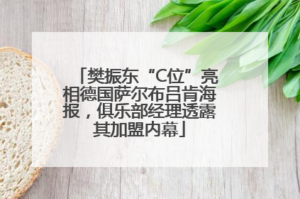 樊振东“C位”亮相德国萨尔布吕肯海报，俱乐部经理透露其加盟内幕