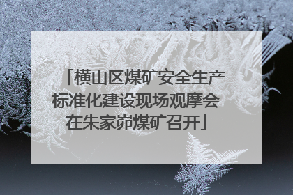 横山区煤矿安全生产标准化建设现场观摩会在朱家峁煤矿召开