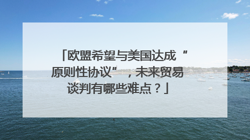 欧盟希望与美国达成“原则性协议”，未来贸易谈判有哪些难点？