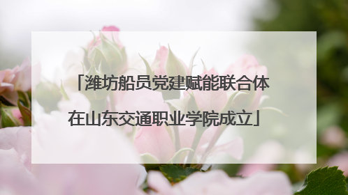 潍坊船员党建赋能联合体在山东交通职业学院成立