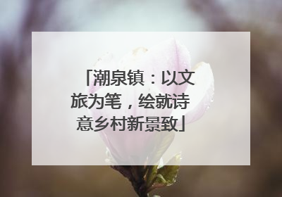 潮泉镇：以文旅为笔，绘就诗意乡村新景致