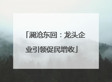 澜沧东回：龙头企业引领促民增收
