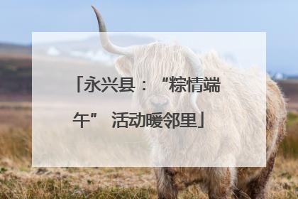 永兴县：“粽情端午” 活动暖邻里