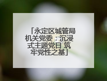 永定区城管局机关党委：沉浸式主题党日 筑牢党性之基