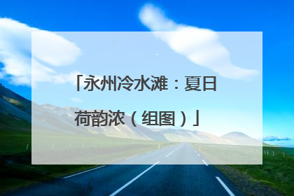 永州冷水滩：夏日荷韵浓（组图）