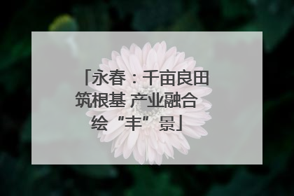 永春：千亩良田筑根基 产业融合绘“丰”景