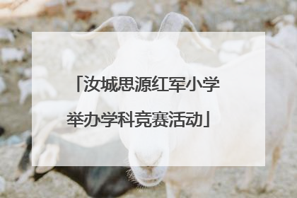 汝城思源红军小学举办学科竞赛活动