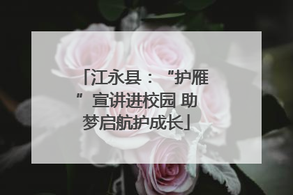 江永县：“护雁”宣讲进校园 助梦启航护成长