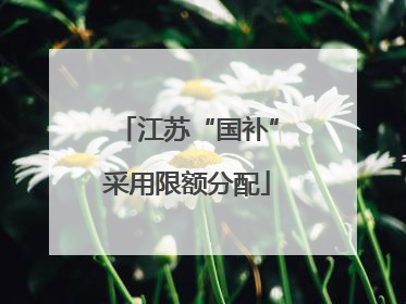 江苏“国补”采用限额分配