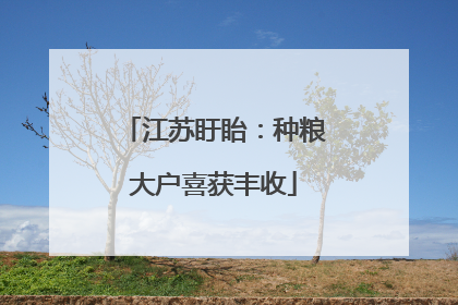 江苏盱眙：种粮大户喜获丰收