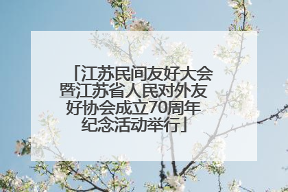 江苏民间友好大会暨江苏省人民对外友好协会成立70周年纪念活动举行
