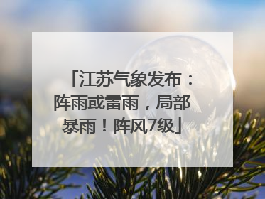 江苏气象发布：阵雨或雷雨，局部暴雨！阵风7级