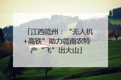 江西赣州：“无人机+高铁”助力赣南农特产“飞”出大山