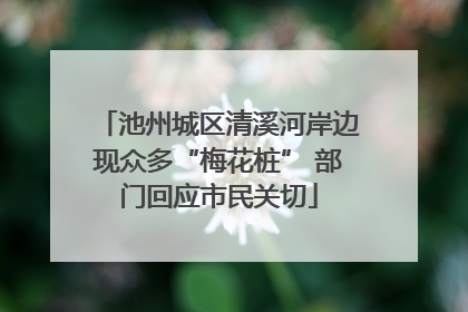 池州城区清溪河岸边现众多“梅花桩” 部门回应市民关切