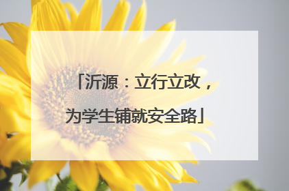 沂源：立行立改，为学生铺就安全路