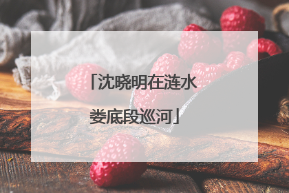 沈晓明在涟水娄底段巡河