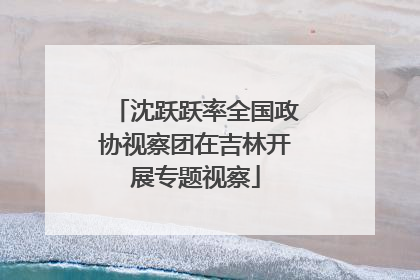 沈跃跃率全国政协视察团在吉林开展专题视察